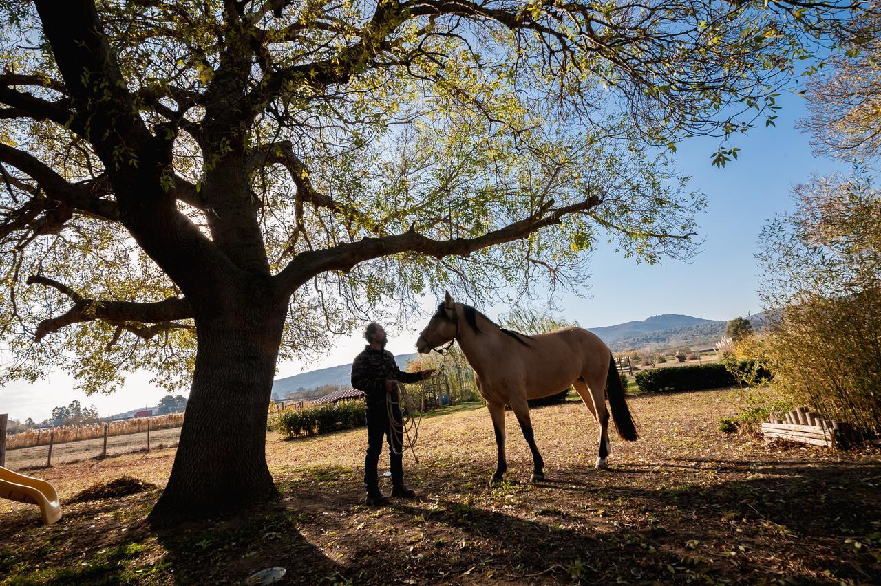 El Molino Agriturismo Fonteblanda Eksteriør bilde